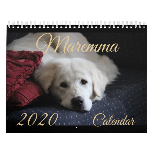 Calendário 2020 de Maremma (Capa)