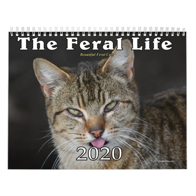 Calendário 2020 Dos Gatos Feral, A Vida Selvagem (Capa)