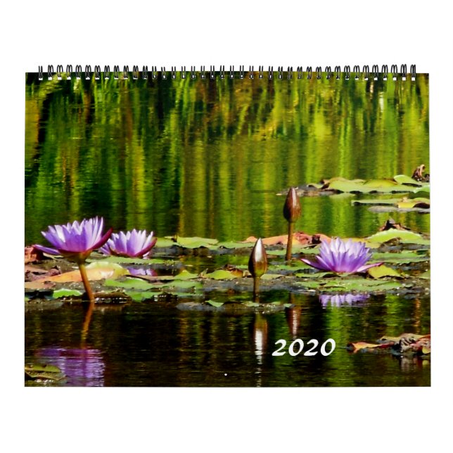 Calendário 2020 dos lírios de água (Capa)
