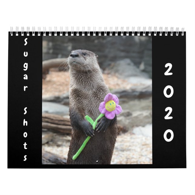 Calendário 2020 dos Sugar Shots (Capa)