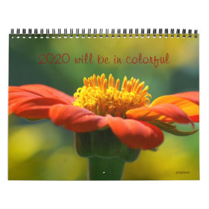 Calendário 2020 ficará colorido