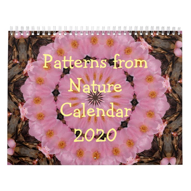 Calendário 2020 - Padrões da natureza (Capa)