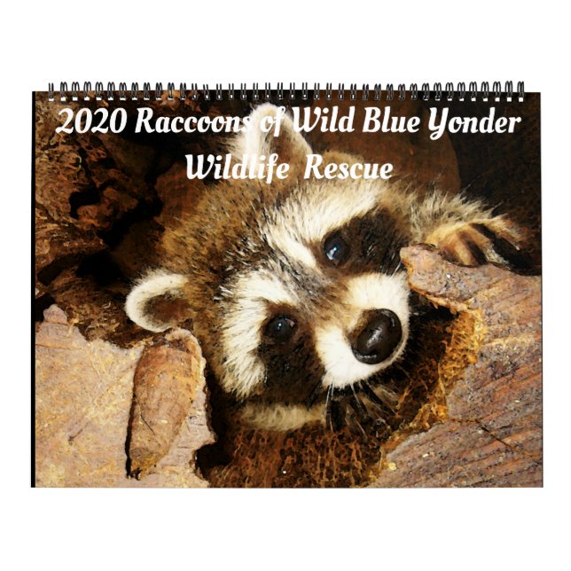 Calendário 2020 Raccoons of Wild Blue Yonder Wildlife Rescue (Capa)
