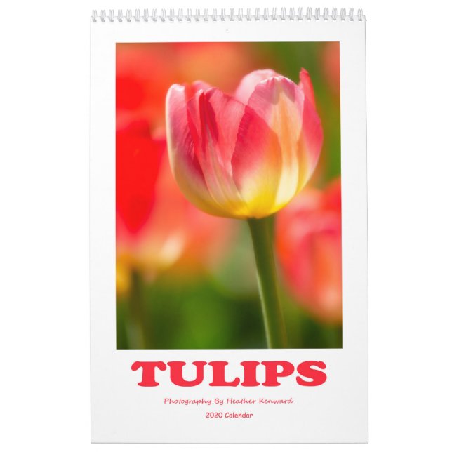 Calendário 2020 Tulips (Capa)