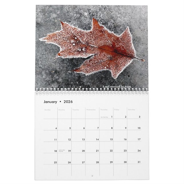 Calendário 2021 (Jan 2026)