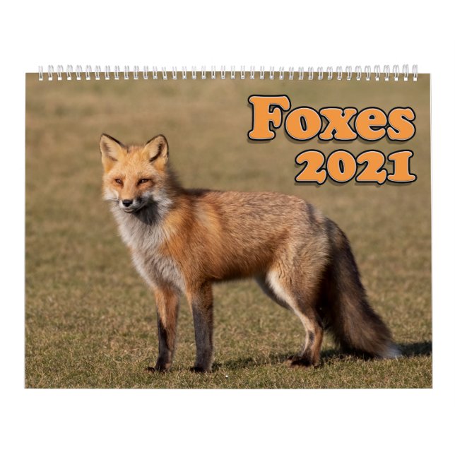 Calendário 2021 da Red Foxes (Capa)