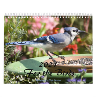 Calendário 2021 Para as Aves