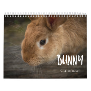 Calendário 2022