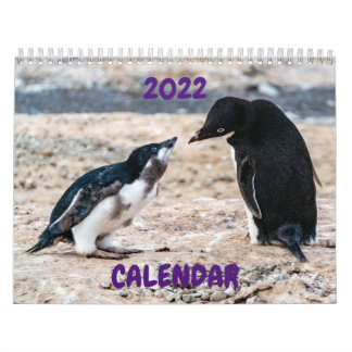 Calendário 2022 - Antártica