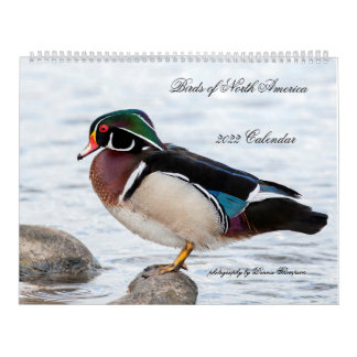 Calendário 2022 Birds of North America Calendar