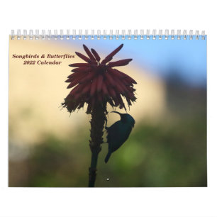 Calendário 2022 de Canaviais e Borboletas