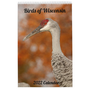 Calendário 2022 de Wisconsin Birds