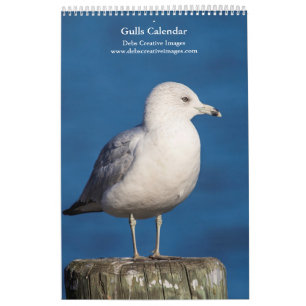 Calendário 2022 Gulls