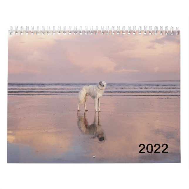 Calendário 2022 Silken Windhounds (Permanente) (Capa)