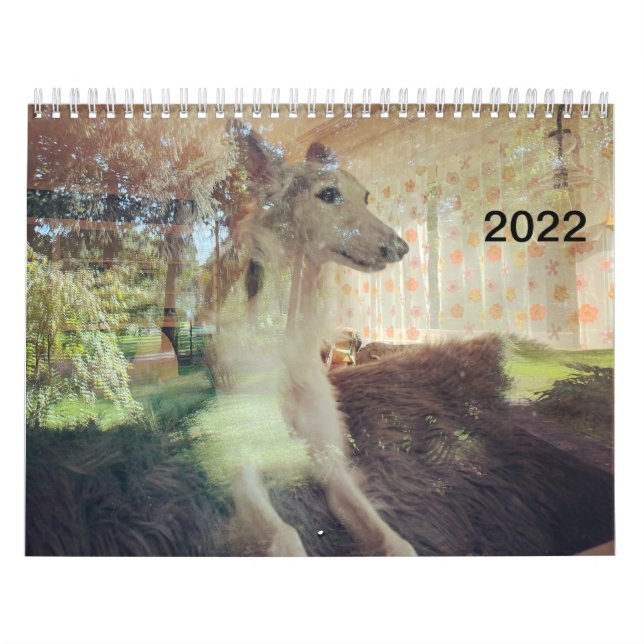 Calendário 2022 Silken Windhounds (Repouso) (Capa)