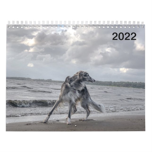 Calendário 2022 Silken Windhounds (Vários Cães E Em Ação) (Capa)