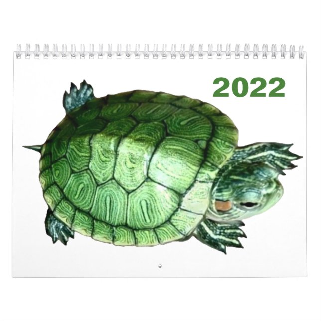 Calendário 2022 Tartaruga (Capa)
