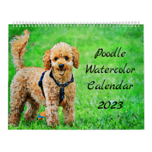 Calendário 2023 Cães-Poodle Poodles Poodles Mola-Aquarela Poo