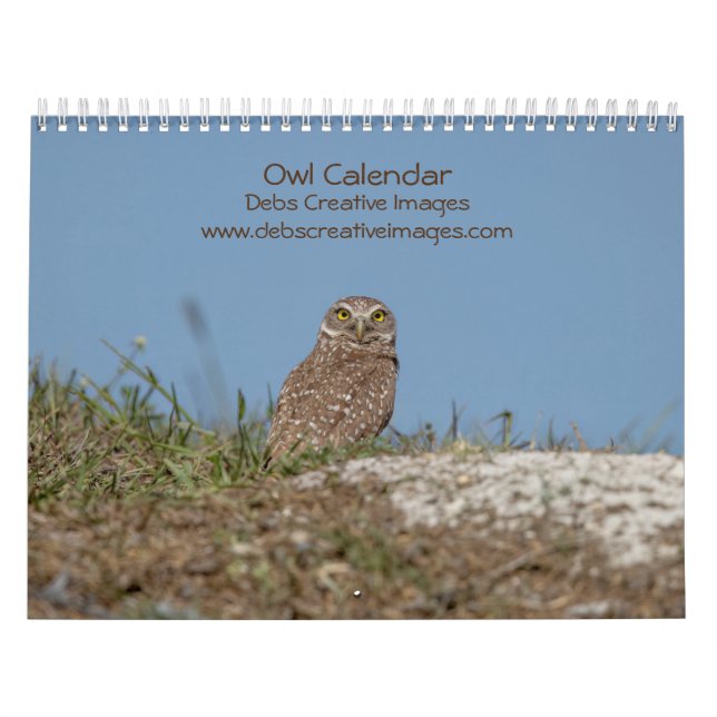 Calendário 2023 Coruja (Capa)