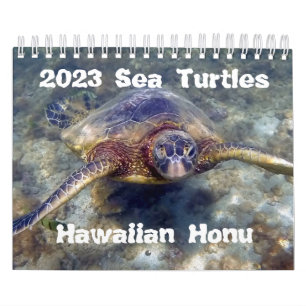 Calendário 2023 das Tartarugas do Mar Verde Honu H