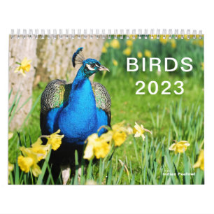 Calendário 2023 de várias aves