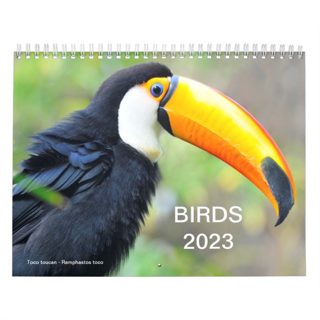 Calendário 2023 de várias aves (Capa)