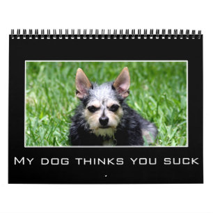 Calendário 2023 Desencorajamento e Humor Demotivacional