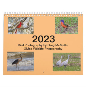 Calendário 2023 do Texas Bird