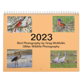 Calendário 2023 do Texas Bird