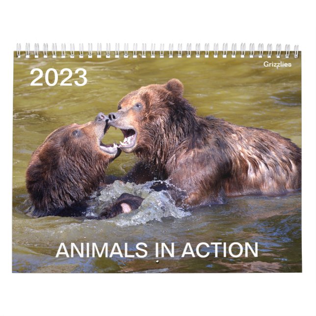 Calendário 2023 dos animais em ação (Capa)