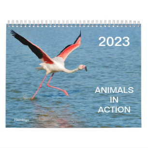 Calendário 2023 dos animais em ação