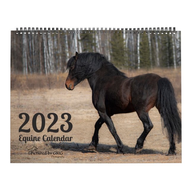Calendário 2023 Equine Photo Calendar (Capa)