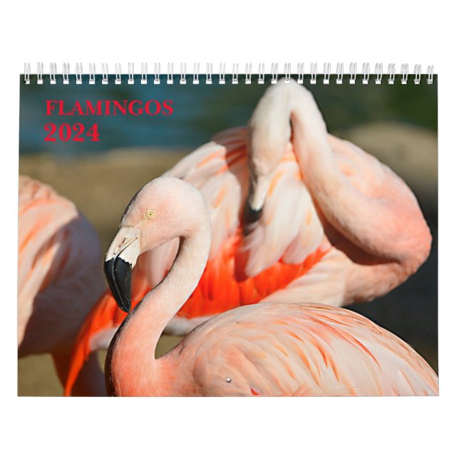 Calendário 2023 flamingos (Capa)