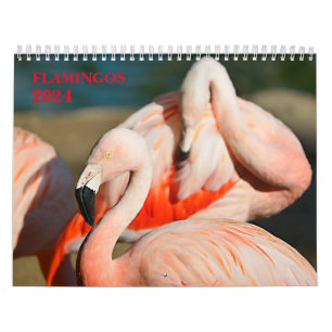 Calendário 2023 flamingos