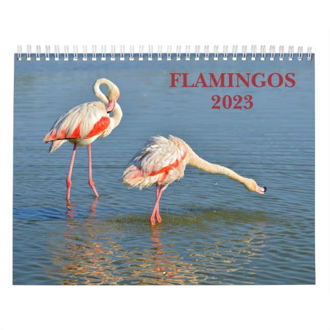 Calendário 2023 Flamingos (Capa)