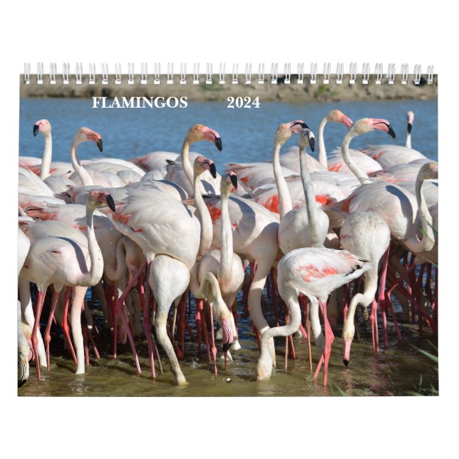 Calendário 2023 Flamingos (Capa)