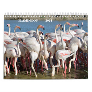 Calendário 2023 Flamingos