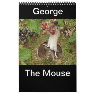 Calendário 2023 george o mouse