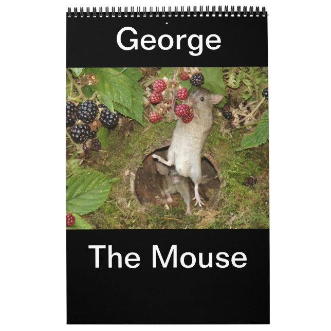 Calendário 2023 george o mouse (Capa)