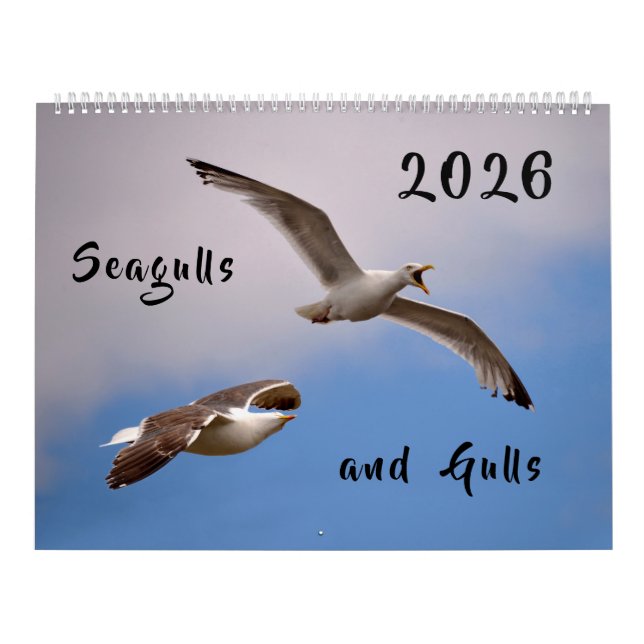 Calendário 2023 Gulls and Seagulls (Capa)