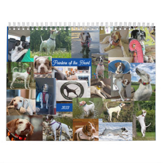 Calendário 2023 Ponteiros do Boot Calendar PointerRescue