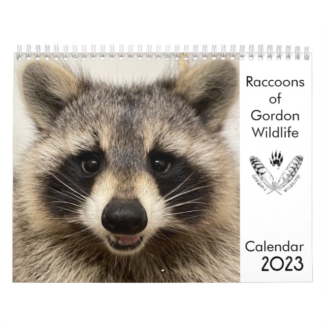 Calendário 2023 Raccoons de Gordon Wildlife (Capa)