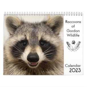 Calendário 2023 Raccoons de Gordon Wildlife