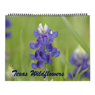 Calendário 2023 Texas Wildflower