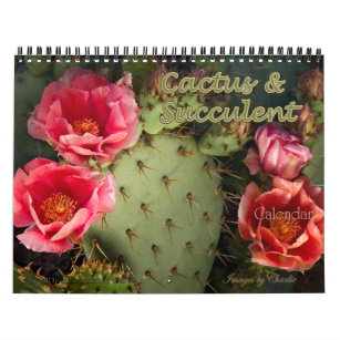 Calendário 2024 Cactus & Succulent Flower (Versão original)