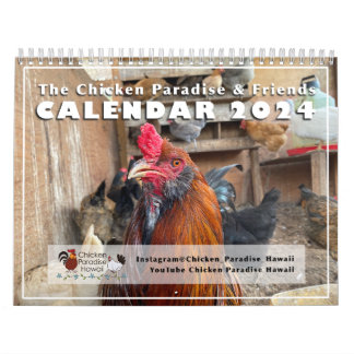 Calendário 2024 Chicken Paradise Hawaii