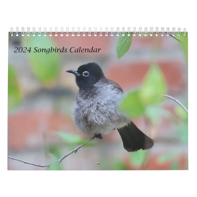 Calendário 2024 das aves canoras (Capa)