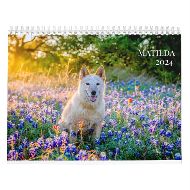 Calendário 2024 de Matilda (Capa)
