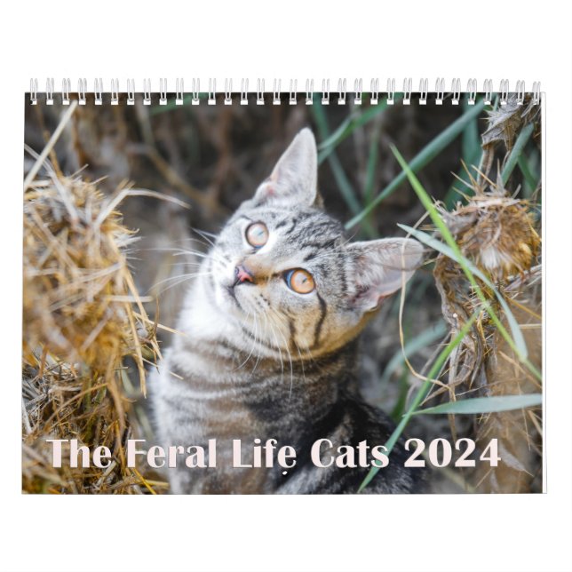 Calendário 2024 Feral Life 2024 Lindos Gatos Naturais (Capa)