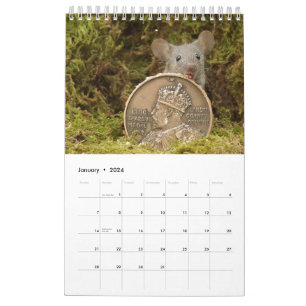 Calendário 2024 George o rato numa casa de pilha